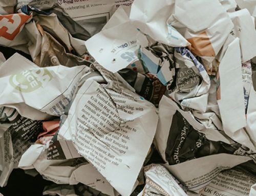 Recyclingpapier im Schulbuch: lange keine Alternative – jetzt ein wichtiger Schritt