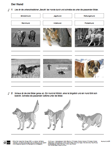 Förderblatt Biologie